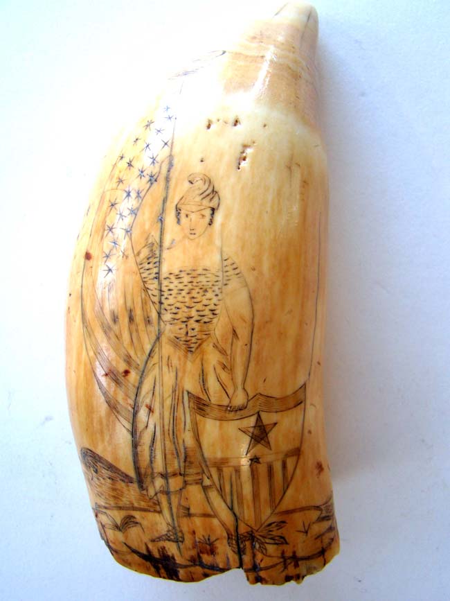An American 19th century scrimshawed Whale's Tooth with depictions of COLUMBIA and HOPE circa 1840. — image 5